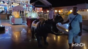 «Альбатрос Шарм Резорт 4*«Прогулка в SOHO 👍Отдых (5-ый выпуск)