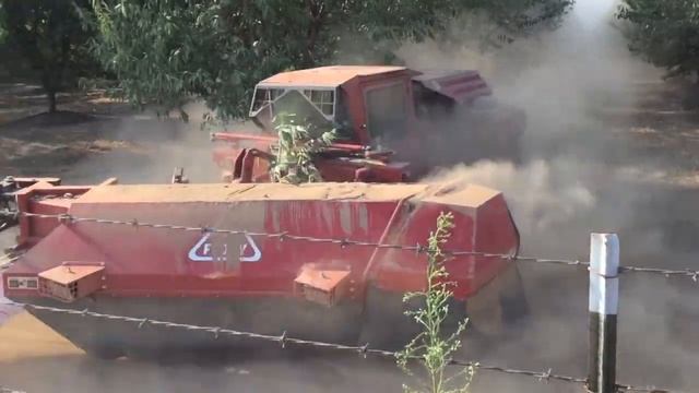 How Are Almonds Grown? Part 2: Harvest смотреть онлайн