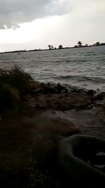 Отчеты с КМК (Калининградский Морской Канал)
