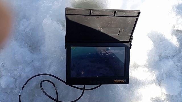 Малый Исток. 20 марта 2024 г.