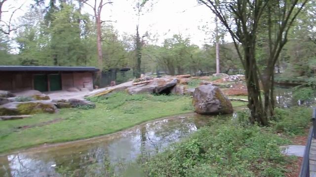 Zoo Munich Tierpark Hellabrunn No.15 Steinbock jump at 2:40 смотреть онлайн