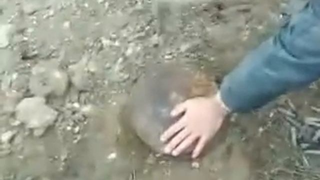 Чёрные копатели 2
