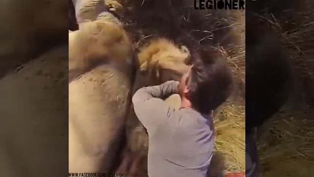 💥И слов не нужно... самое время задуматься...