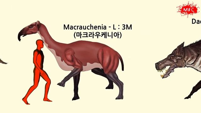 Know the size of CENOZOIC BEASTS | Size Comparison 03 смотреть онлайн