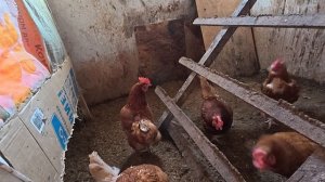 Такой завтрак бывает 1 раз в год