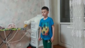 Как научиться бегать как кошка?