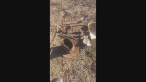 Металлоискатель Квест х 5/ Первый весенний коп в 2025 году.