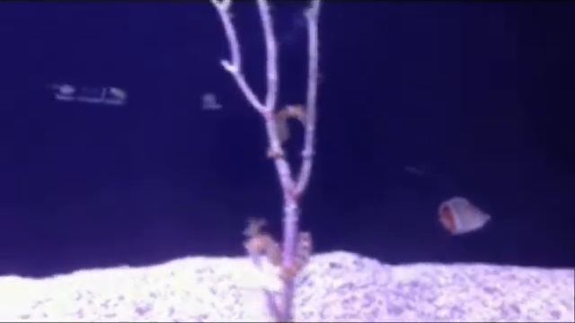 Дорогая встреча в Израиле эйлат часть 2 смотреть онлайн