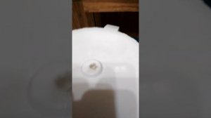 Брожение зерновой браги