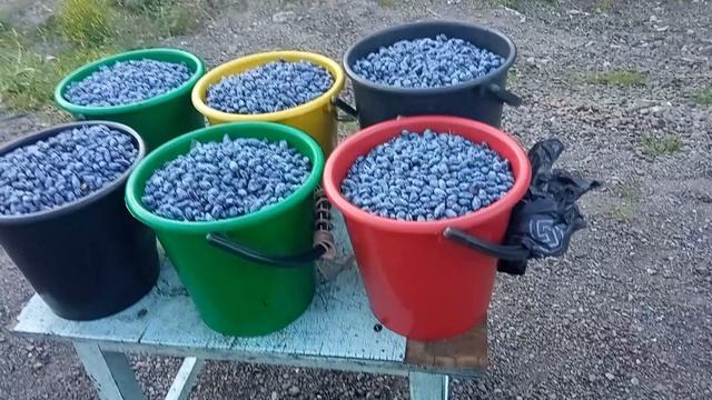 5 июля 2022 г. смотреть онлайн