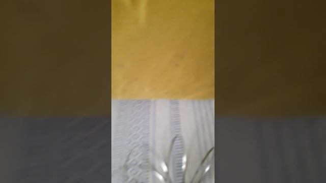 венские вафли вместе с Настей краш смотреть онлайн