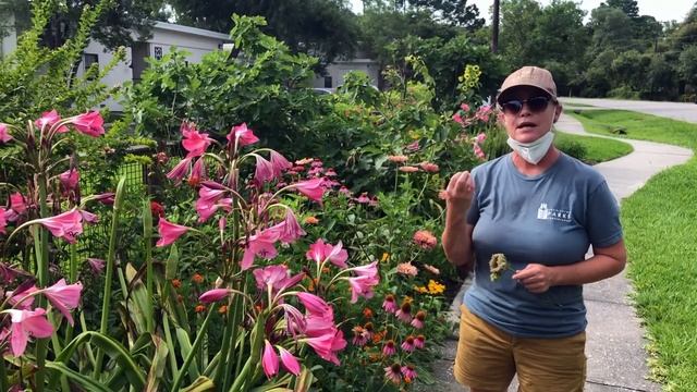 Magnolia Community Gardens Tour смотреть онлайн