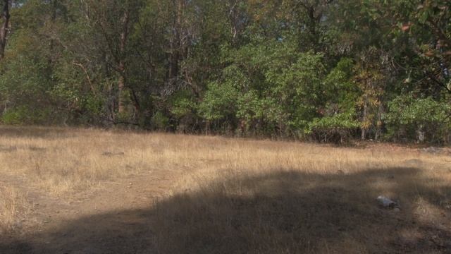 Bolt Mountain w Nature trail смотреть онлайн