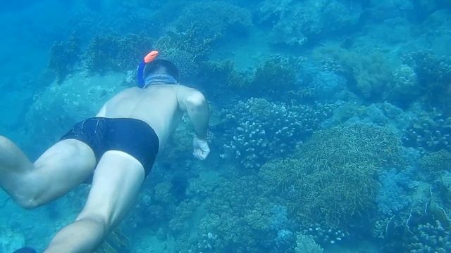 Встреча с аквалангистами смотреть онлайн