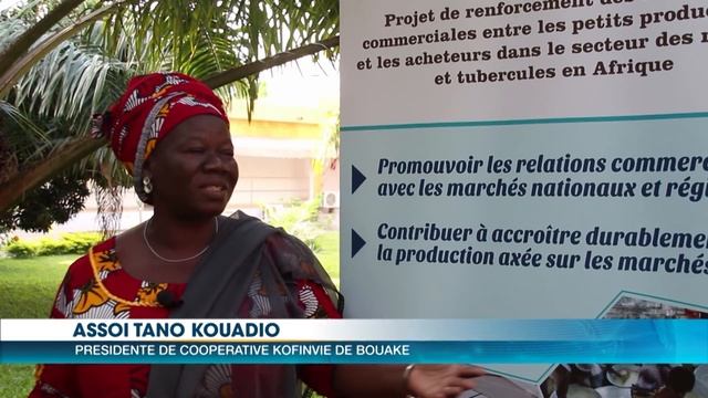 Société : Le manioc, un secteur prometteur смотреть онлайн