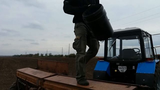 МТЗ 82.1 с сеялкой СЗ 3.6 и ЮМЗ 6 с сеялкой 3.6 начало посева канадской пшеницы смотреть онлайн