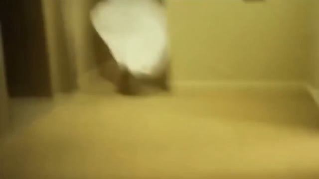 Deftones - Dai The Flu