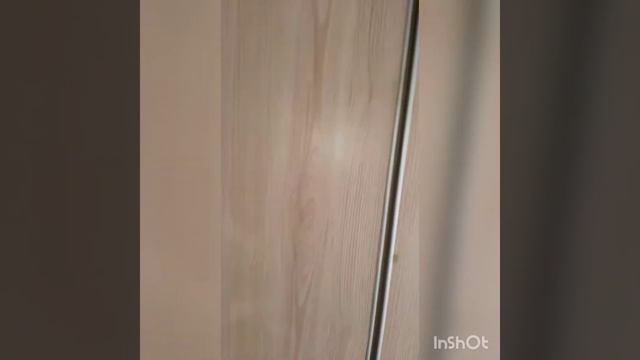 уничтожение такаканов в Бишкеке от 281021 3