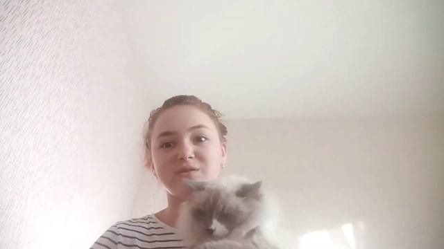 Vlog/Лечу кошку/Делаю уборку/Хочу открыть новый канал!