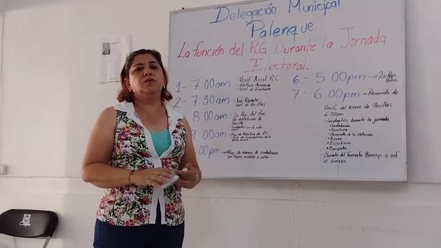función del RG durante la jornada electoral смотреть онлайн