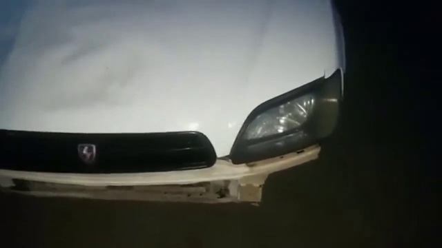 Медведь обосрал смотреть онлайн