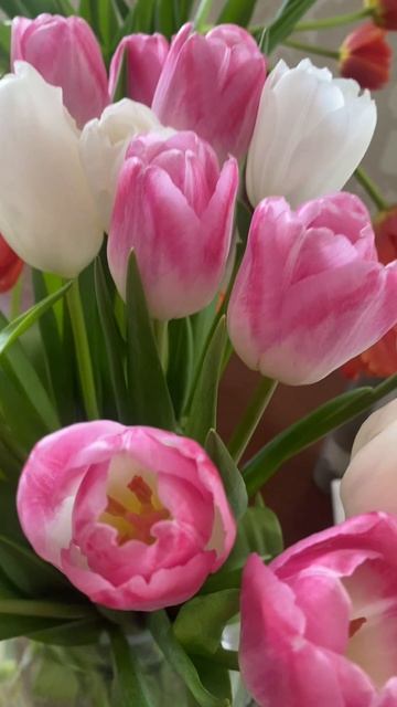 С праздником 🌸

Дорогие девушки, с первым весенним праздником! 🧡