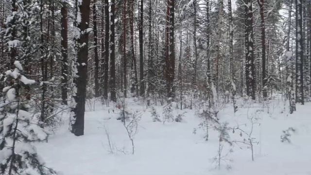 MVI 9543 смотреть онлайн