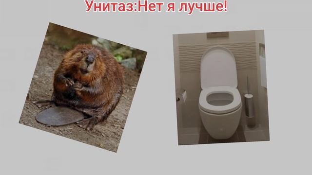 Бобр vs Унитаз смотреть онлайн