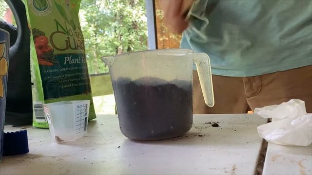 RAINY DAY GARDENING: Feeding, Watering, and Pruning a Green Crack Clone смотреть онлайн