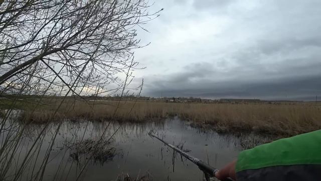 С ЭТОЙ НАСАДКОЙ... УВЕЛ ПОПЛАВОК В ТРАВУ!!! Рыбалка 2024