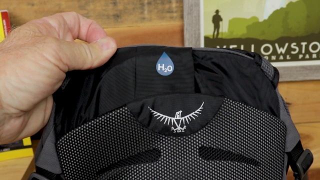 Osprey Daylite 13L Daypack | Sawback Gear смотреть онлайн