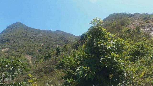 SHARP PEAK SAI KUNG HONG KONG@adventurousboss30 смотреть онлайн