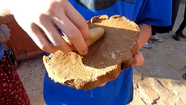 Queen Termite: A Taste Of What's To Come...