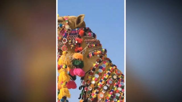 Чудесная Индия. смотреть онлайн