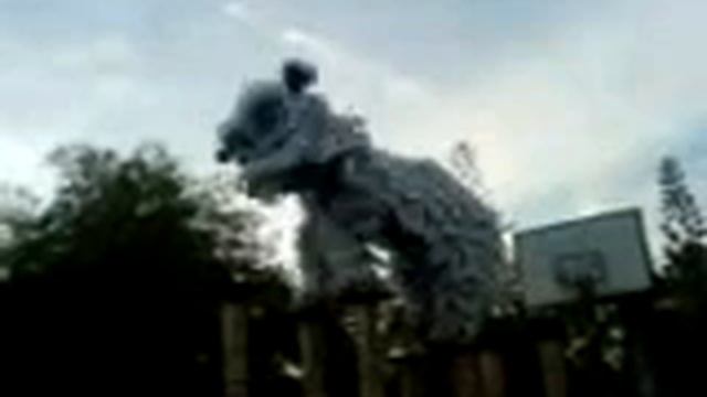 Pu Zhao Shi Lion Dance by Ah Kai смотреть онлайн