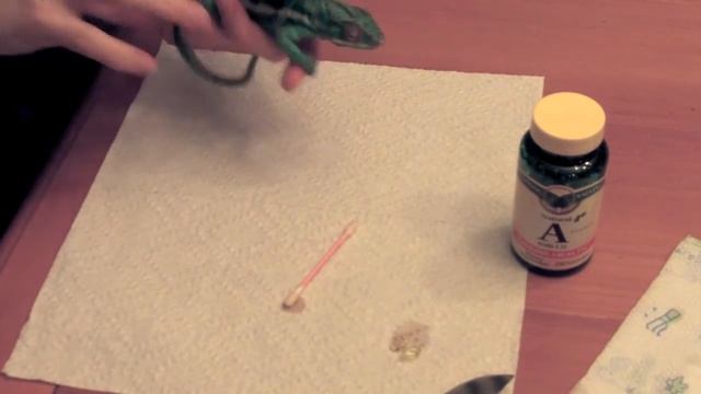Administering Vitamin A to a Panther Chameleon смотреть онлайн