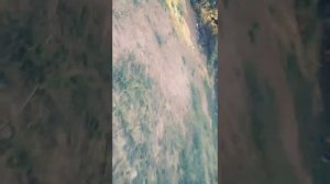 Гуляю и дрочу ;)