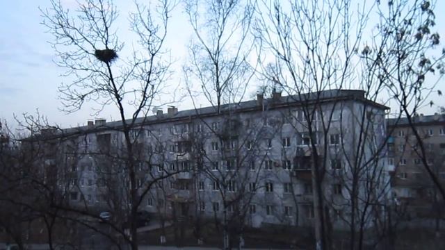 16.11.2013 года. Странные звуки в городе смотреть онлайн