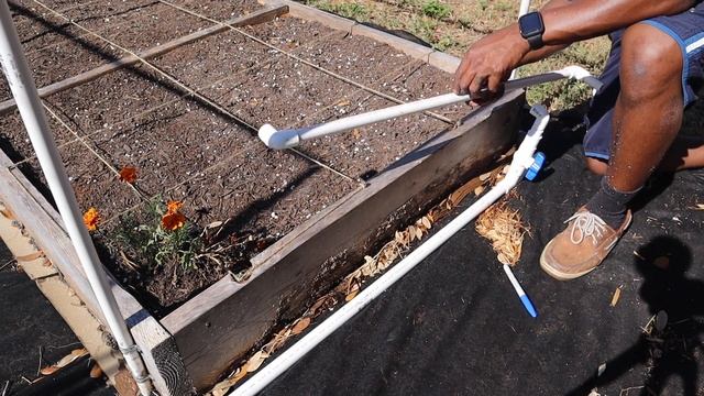 How to Build PVC Drip Irrigation System for Under $50! Step by Step Process any BEGINNER can do! P7 смотреть онлайн