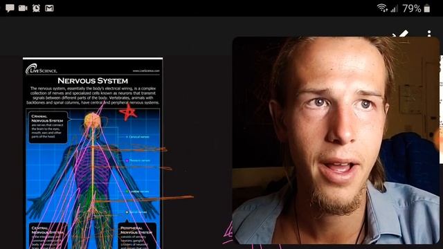 MERKABA ACTIVATION | MOST POTENT ENERGY WORK & Esoteric Knowledge Of Vital Magnetism