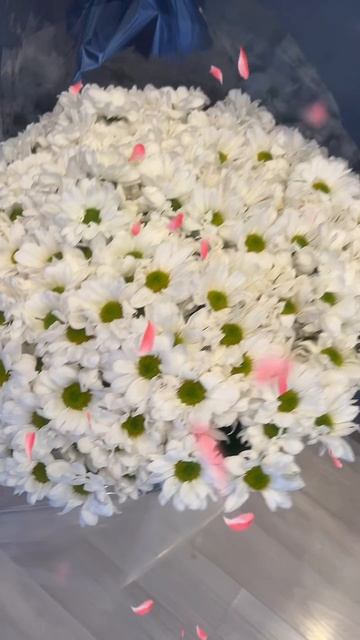 🔴 ЦВЕТЫ РОМАШКИ🔴 смотреть онлайн