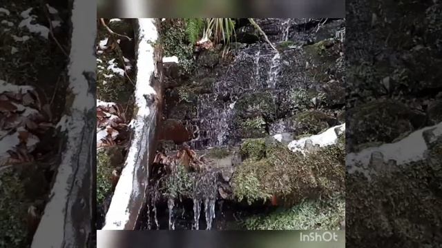30.01.2020 Ажекский Экопарк-зарисовка! смотреть онлайн
