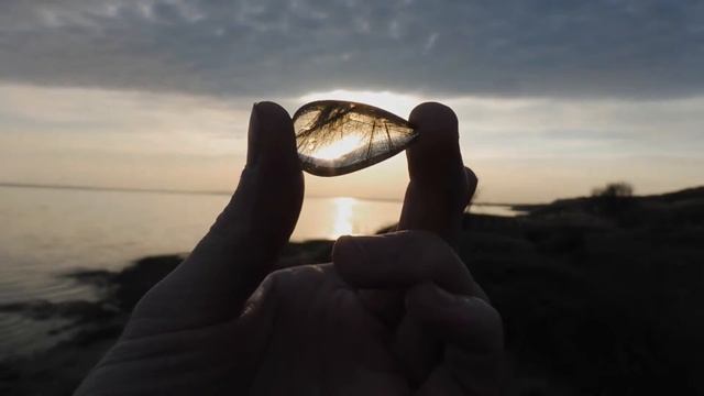 Солнечные зайчики