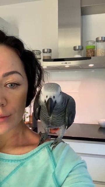 Я сейчас укушу! Приколы с животными #shorts