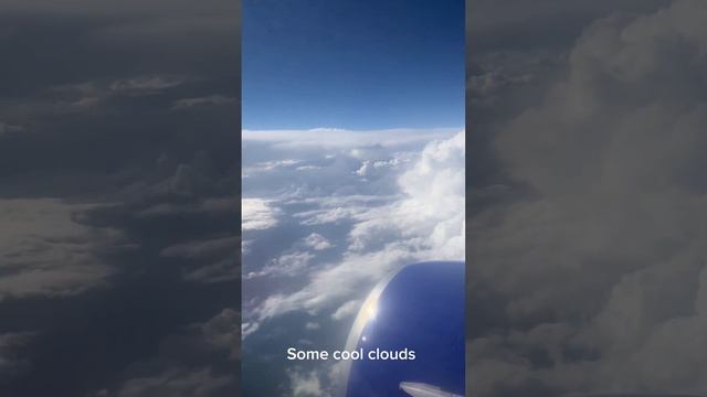 Southwest 737-800 flight review смотреть онлайн