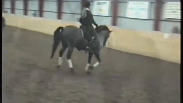 Emelie Brolin & Brolötens Grafit RC 70