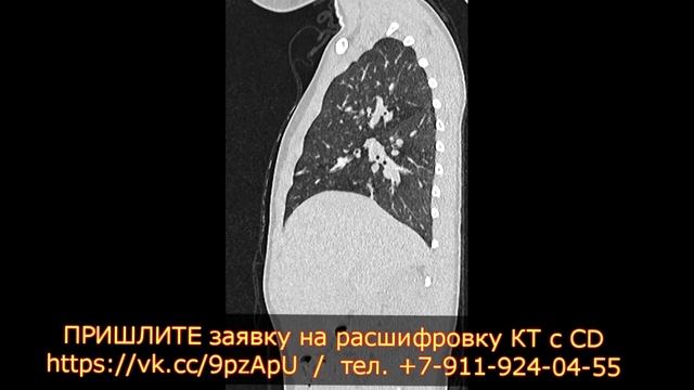 Домашние помощники