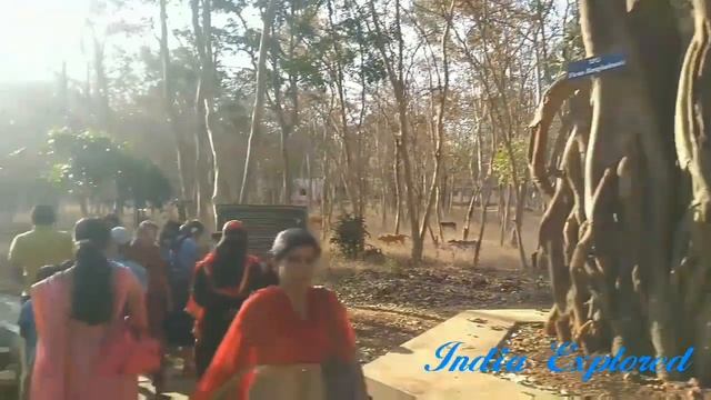 Lion Safari And Tiger Reserve Shimoga Karnataka