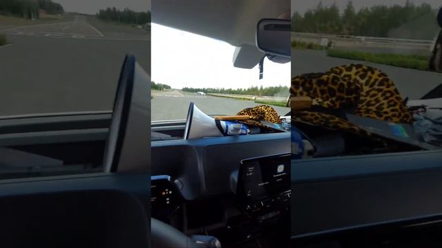 Electric Weekend starttailee KIA-HELO-MM-saunaa