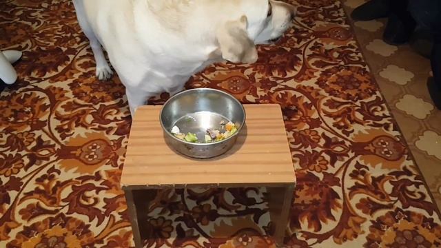 Альфа кушает салат